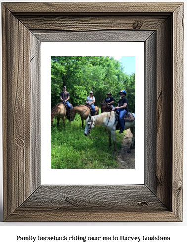 family horseback riding near me in Harvey, Louisiana